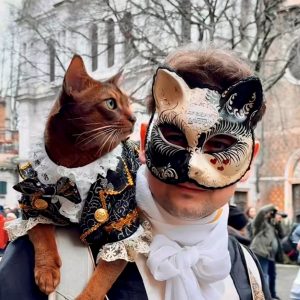 Venetian Cat Mask
