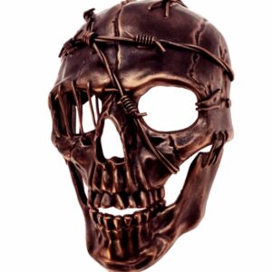 Pirate Skull Mask Copper Barbed